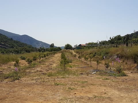 St. Nicolas Camping Zone — photograph 2