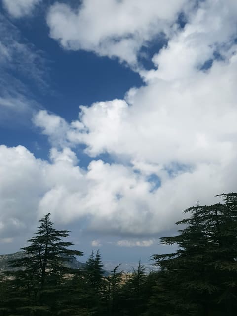 Assoûba Qnat — photograph 6