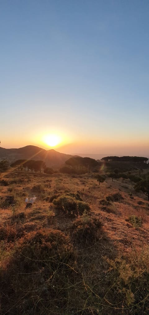 Ghabat Sanawbar — photograph 4