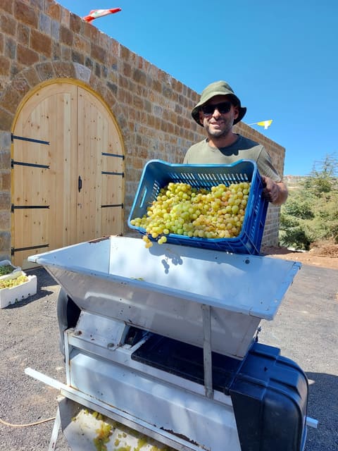 Mersel Wine — photograph 5