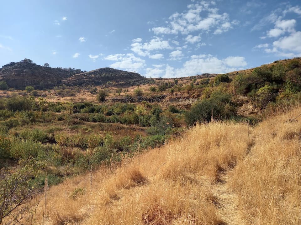 Chikhani New Farm