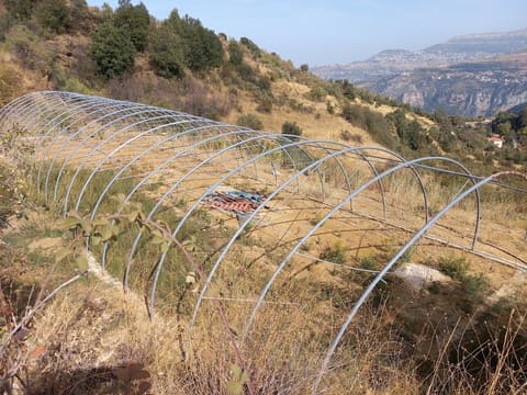 Chikhani New Farm — photograph 4