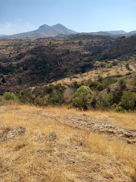 Chikhani New Farm — photograph 5