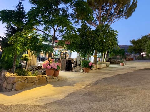 Beit El Habayeb Restaurant — photograph 5
