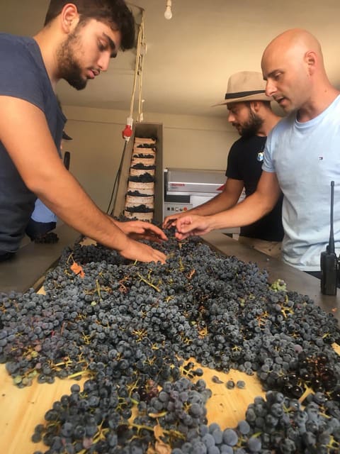 Couvent Rouge Winery — photograph 6