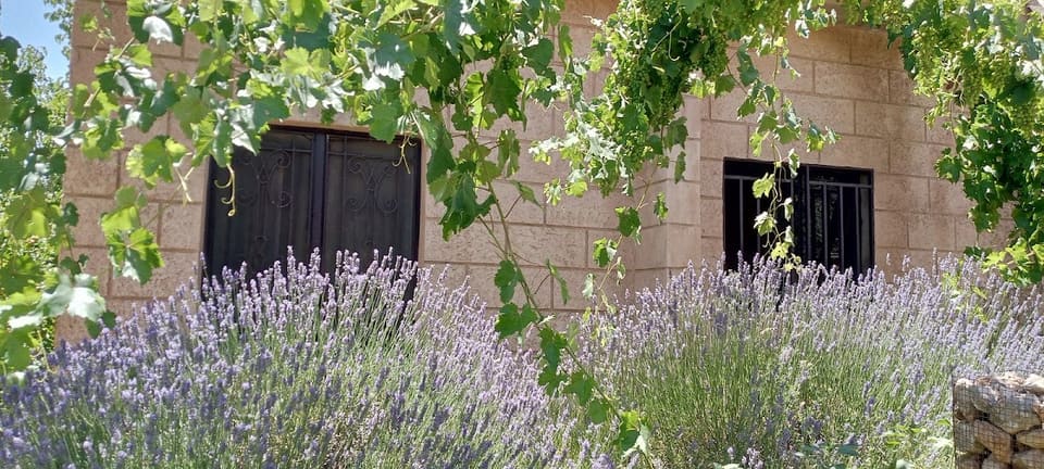 Chateau la fille du roi