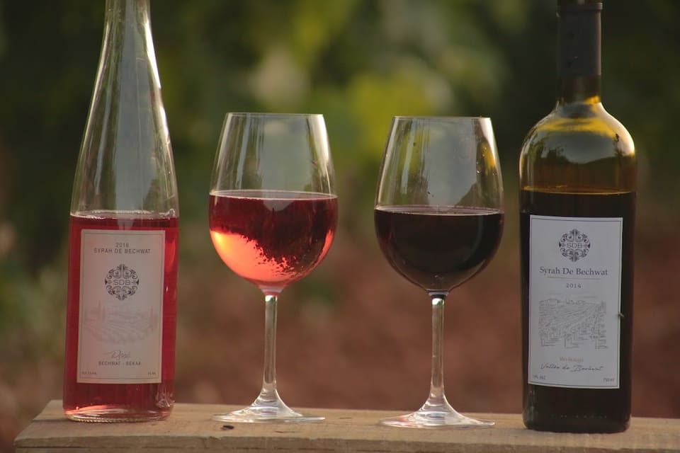 SDB Wines