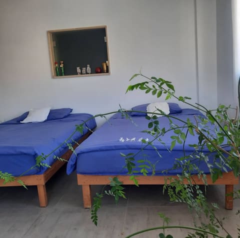 The Nest Guesthouse Bekaa — photograph 2