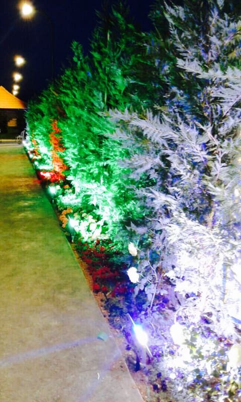 Layali Al Bekaa — photograph 5