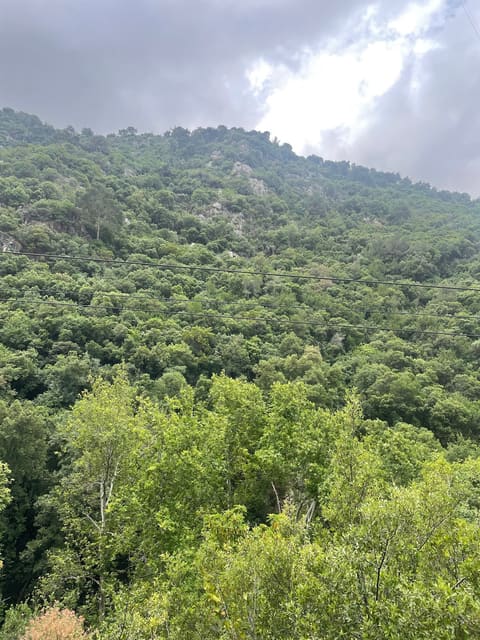 Parc De Jeita — photograph 3