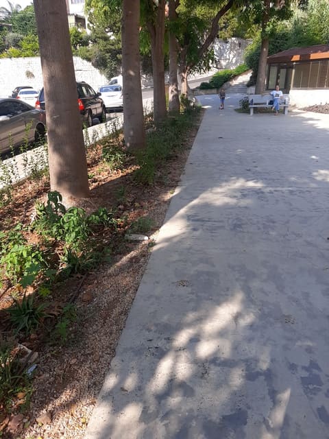 Public Garden of Zouk Mosbeh — photograph 4