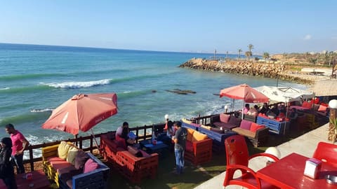 ورد وفلعوفد — photograph 3
