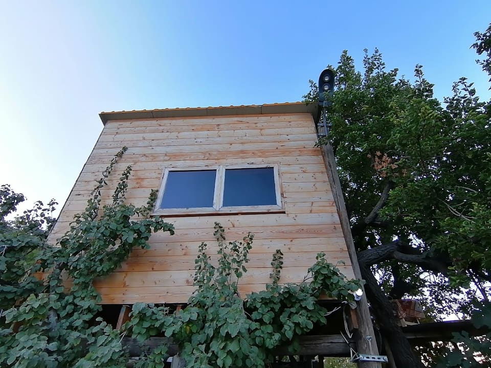 The Orchard Treehouse