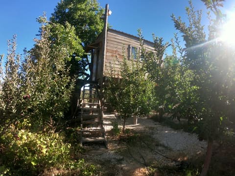 The Orchard Treehouse — photograph 5