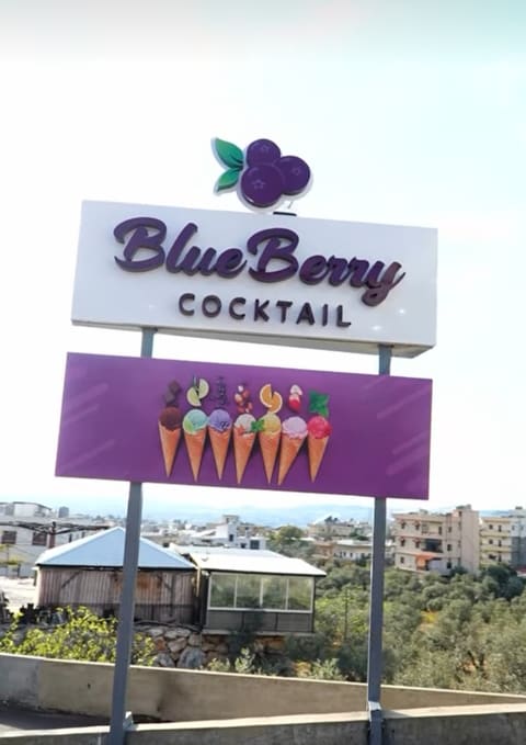 blueberry cocktail — photograph 5