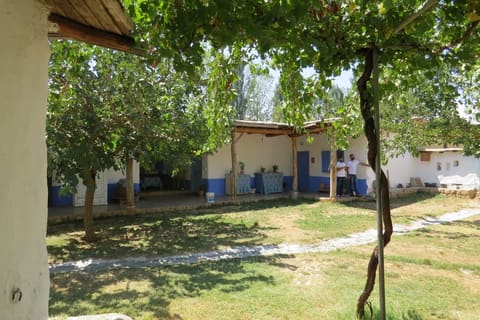 Ecolodge de Taanayel — photograph 3