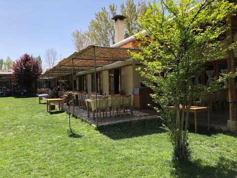 Ecolodge de Taanayel — photograph 6