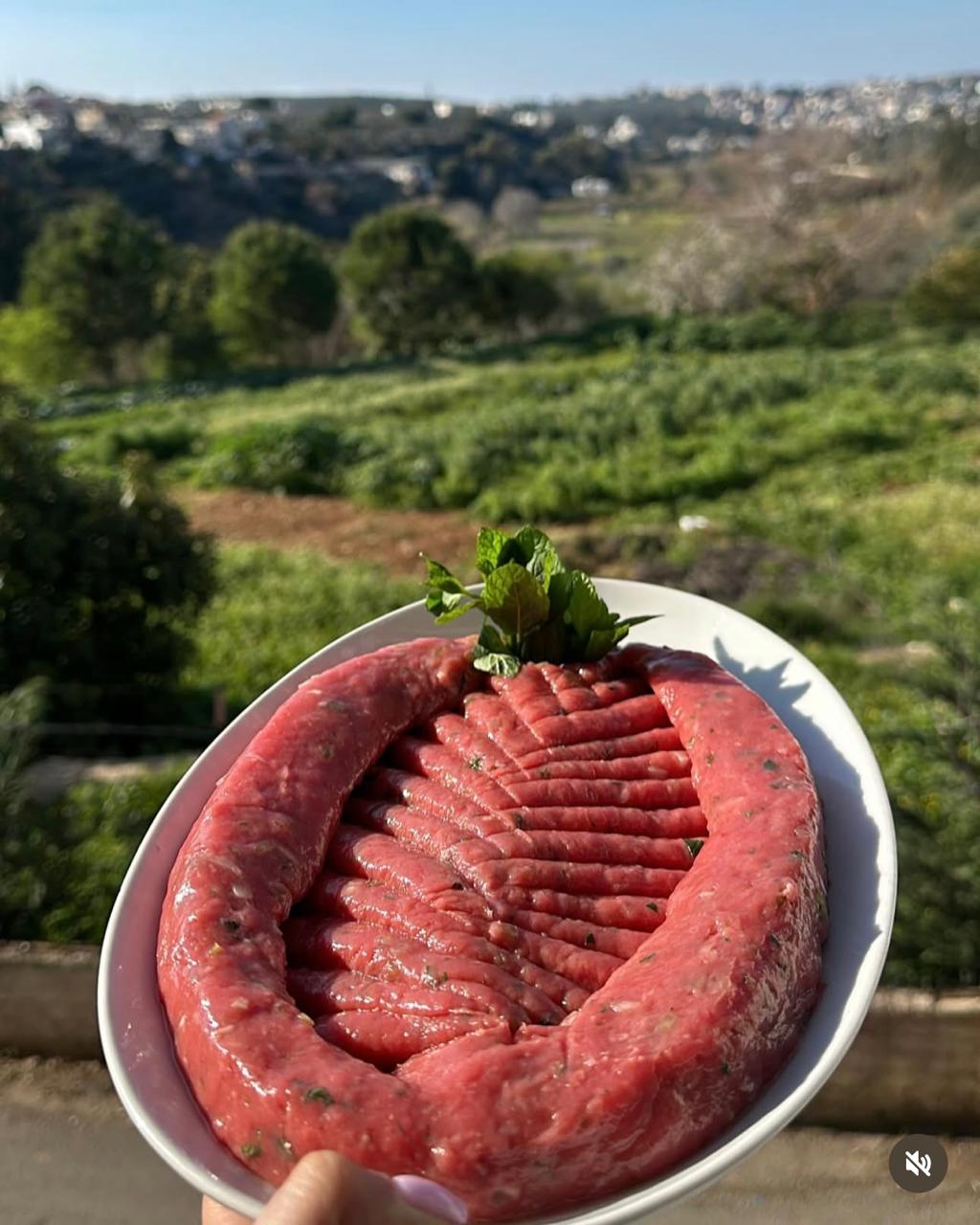 Louis Iskandar Restaurant Ehden Bkoufa — photograph 5