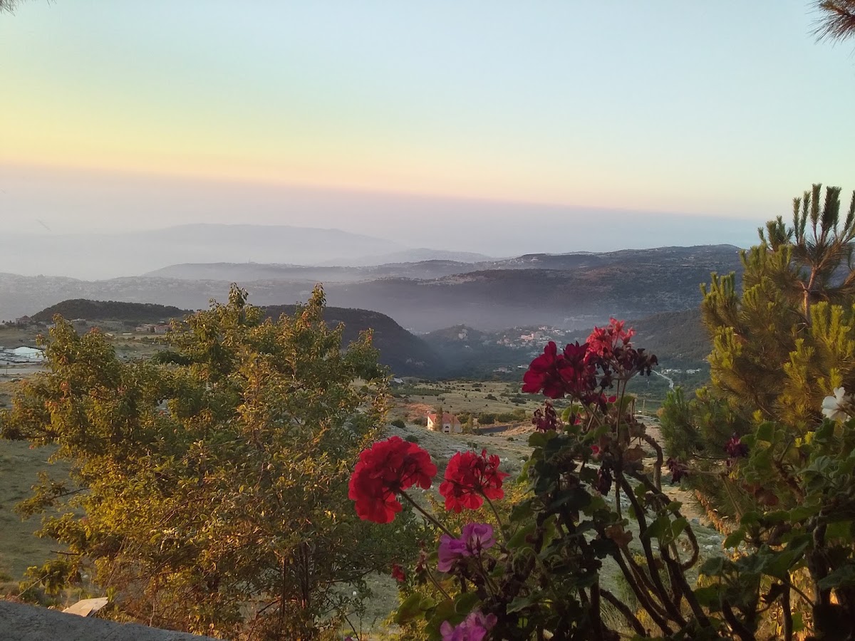🌕Moonlight Ehden — photograph 5