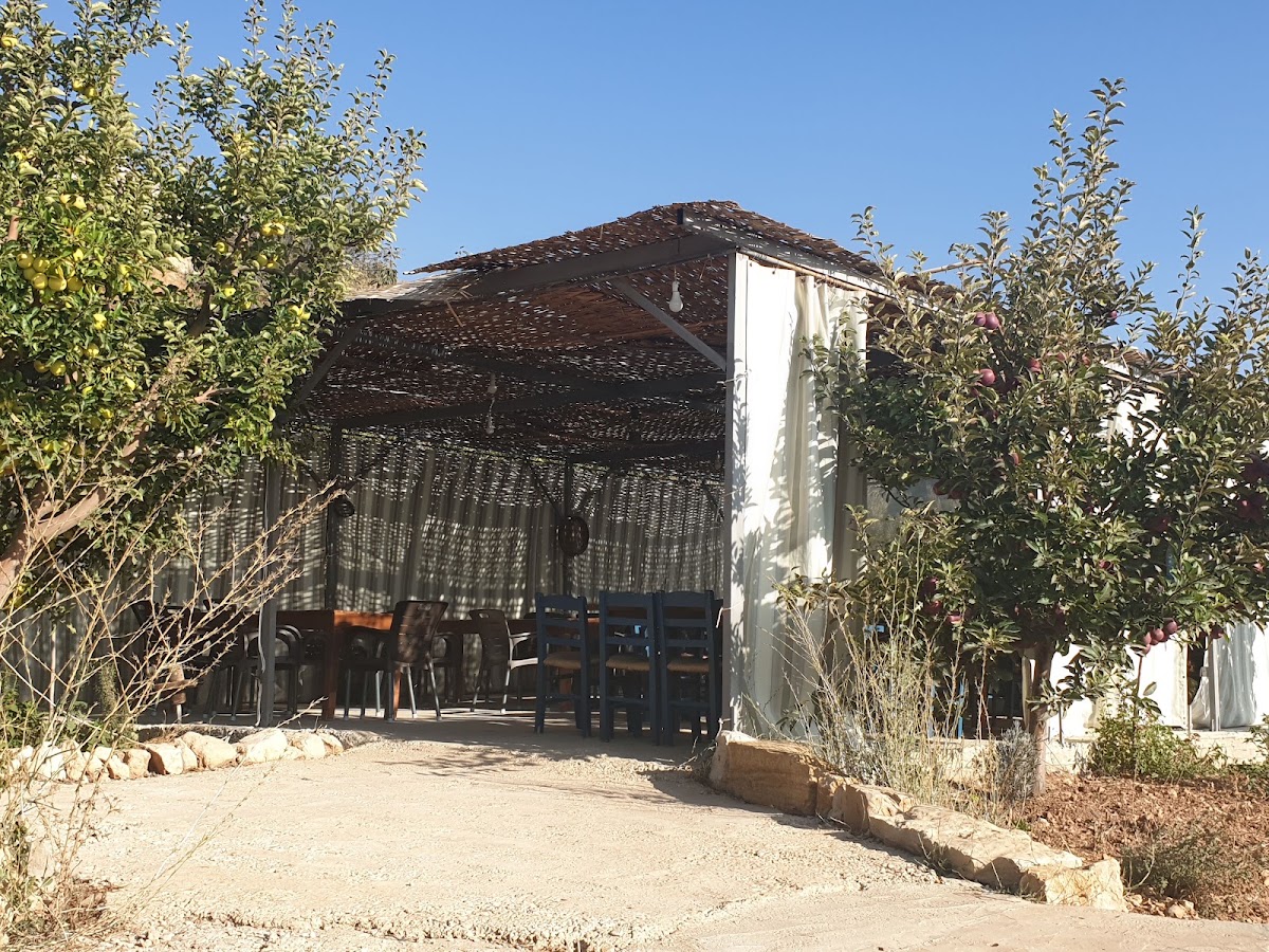Mataam Baqoufa — photograph 3