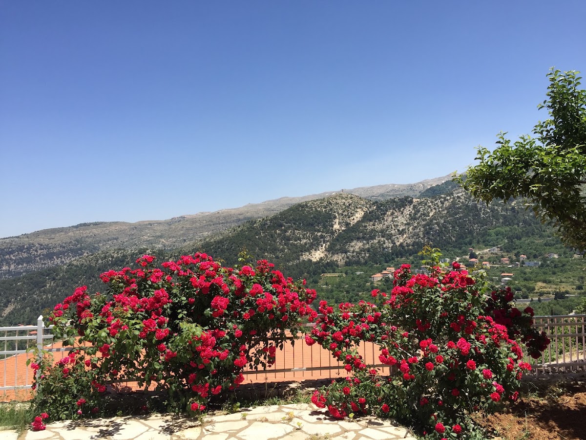 Le Nirvana Resort — photograph 4