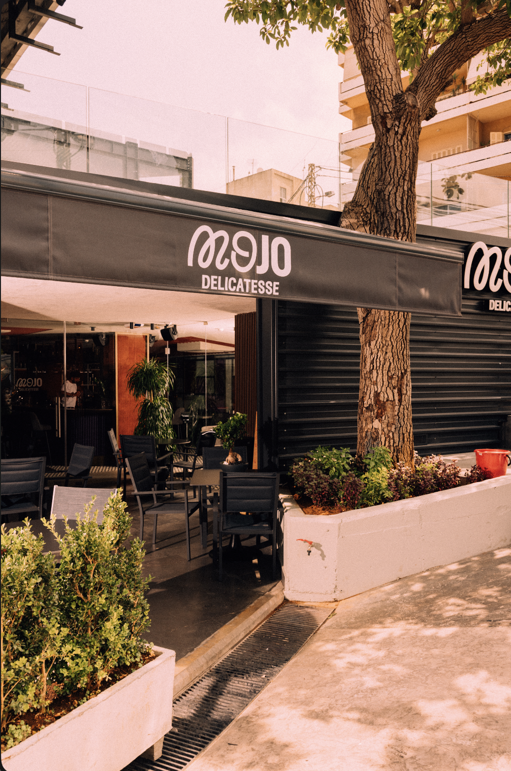 Mojo Resto - Pub