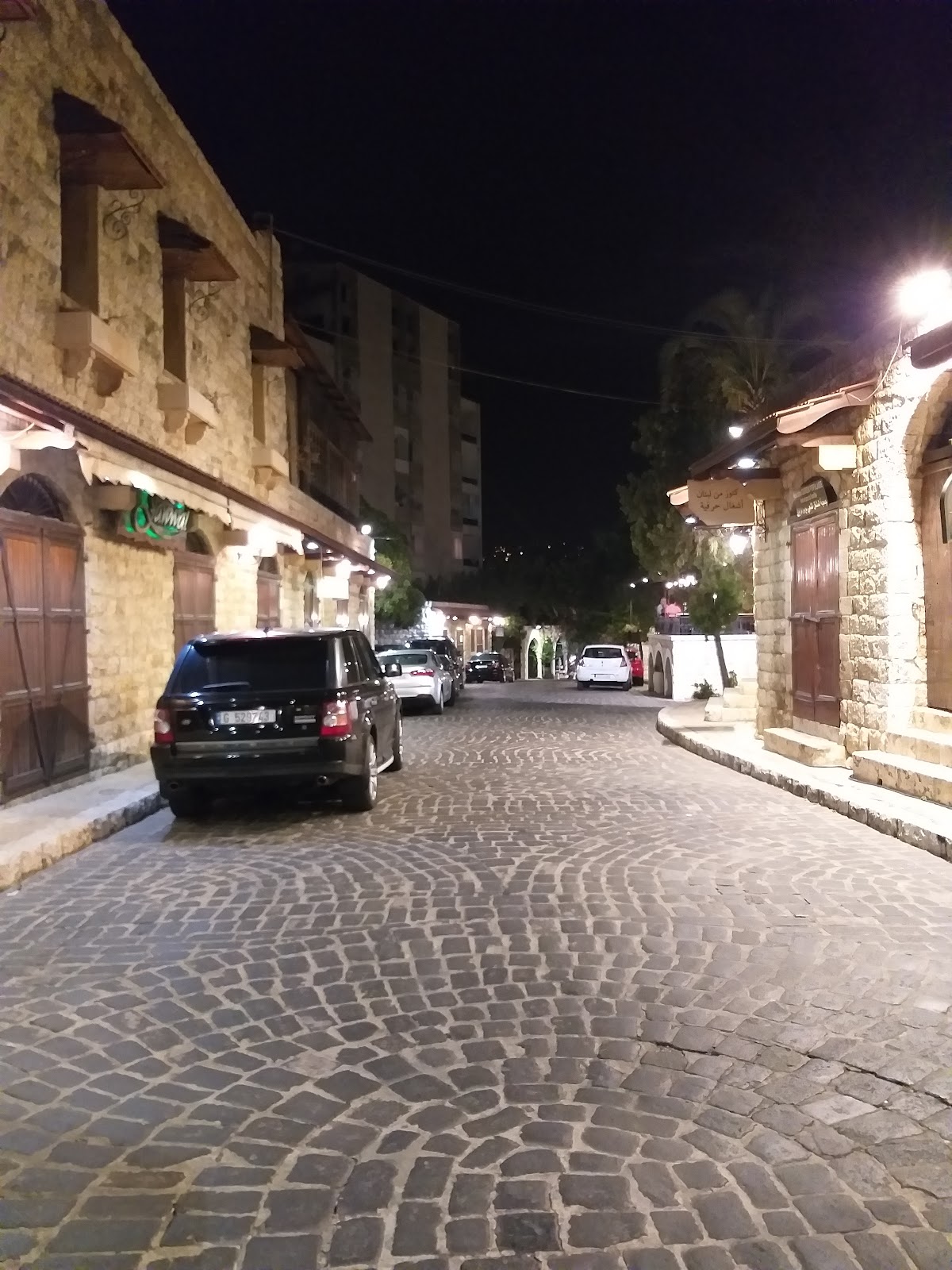Layali El Mir — photograph 6