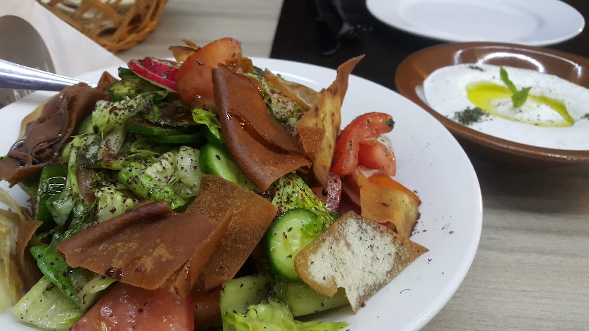 Palmera Cafe — photograph 2