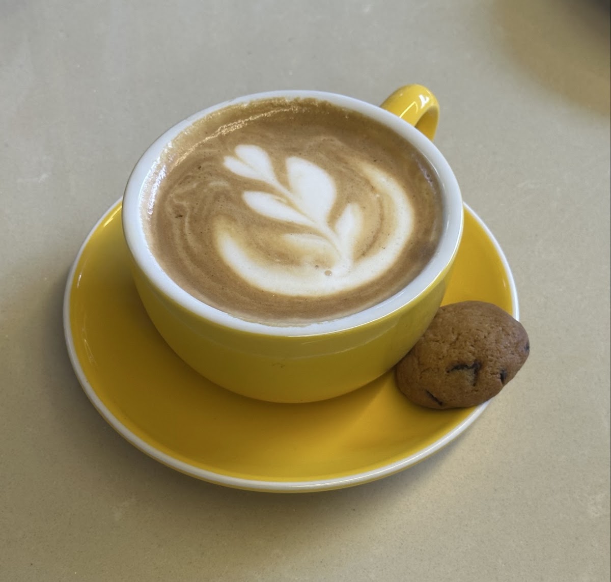Beanloft — photograph 2