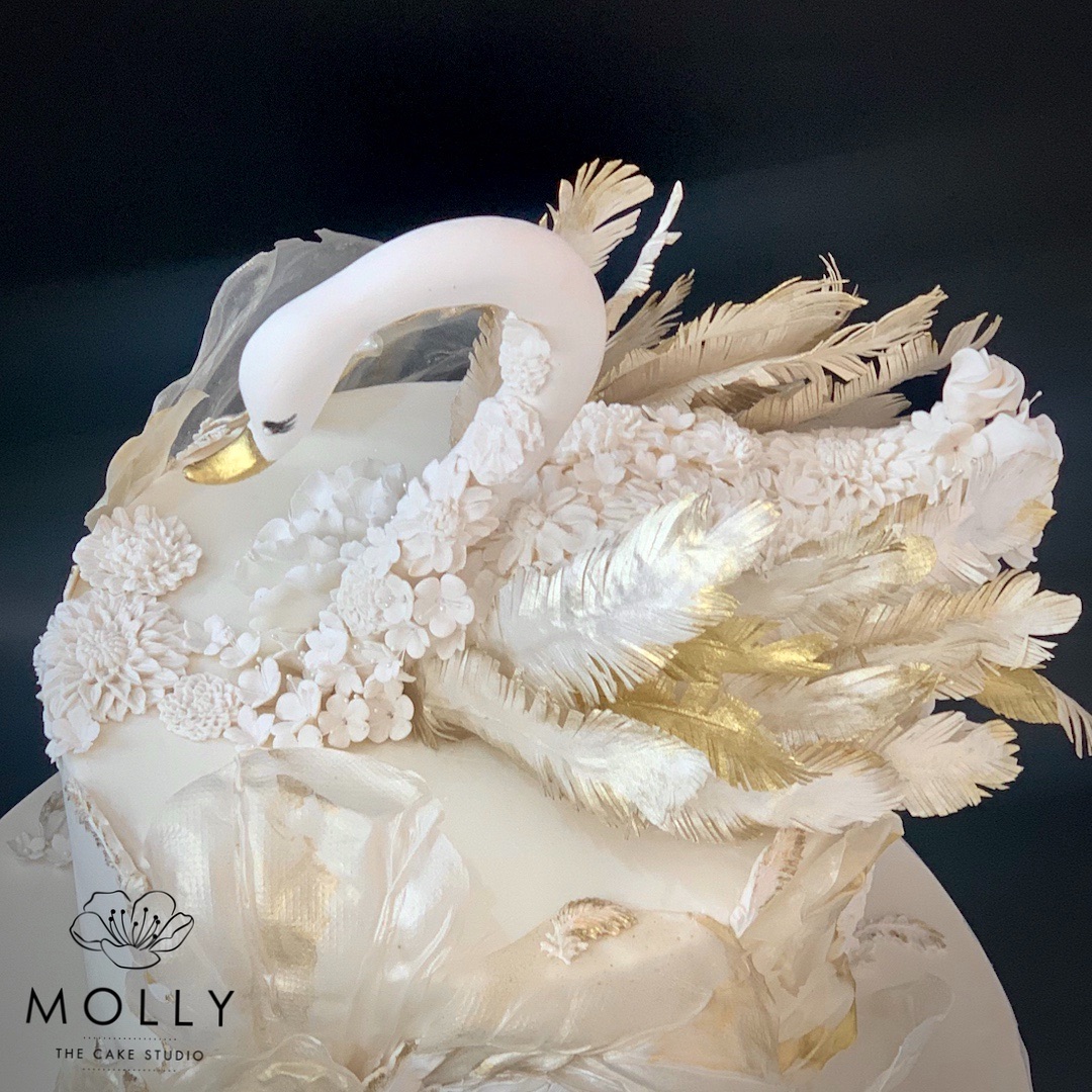 Molly The Cake Studio