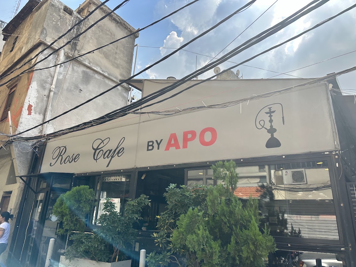Apo — photograph 5