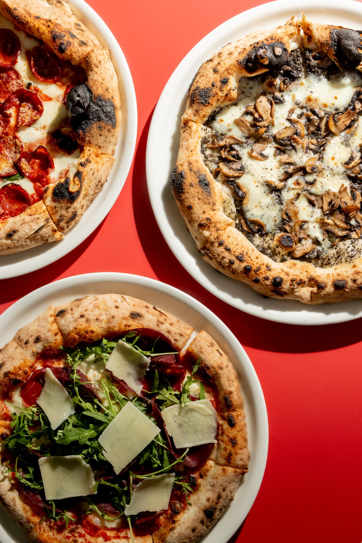 Pizzalata — photograph 2