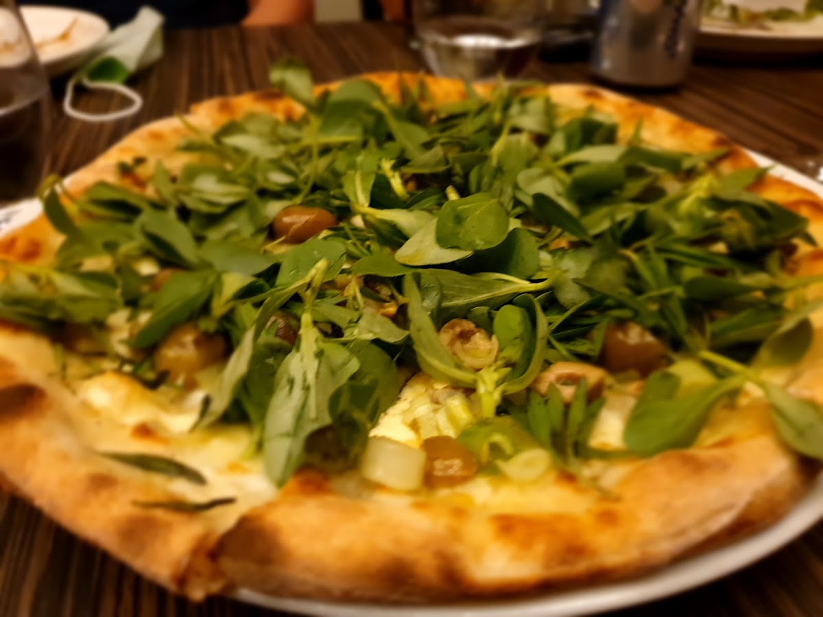 TOTO cucina Italiana — photograph 5