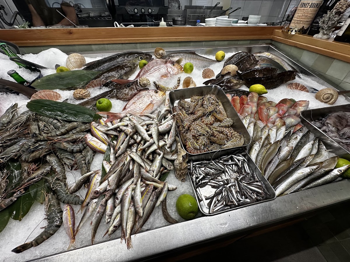 Kelly's Fish Lounge — photograph 5