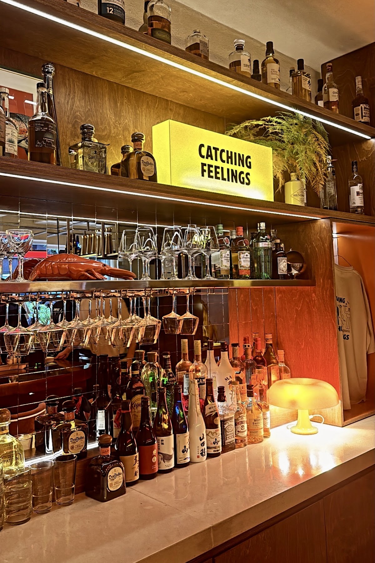 Chubby Fish — photograph 5