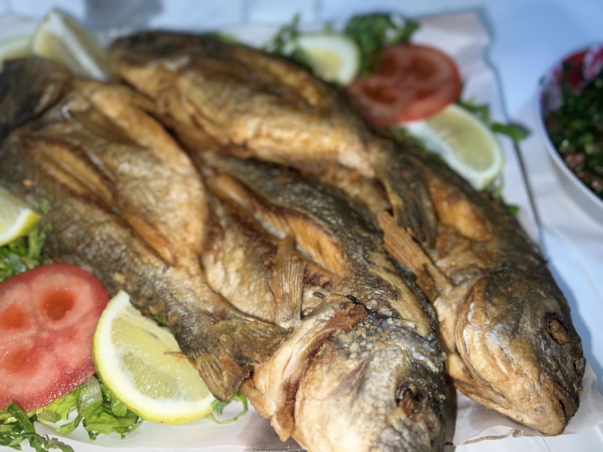 Masmaket Al Jawad