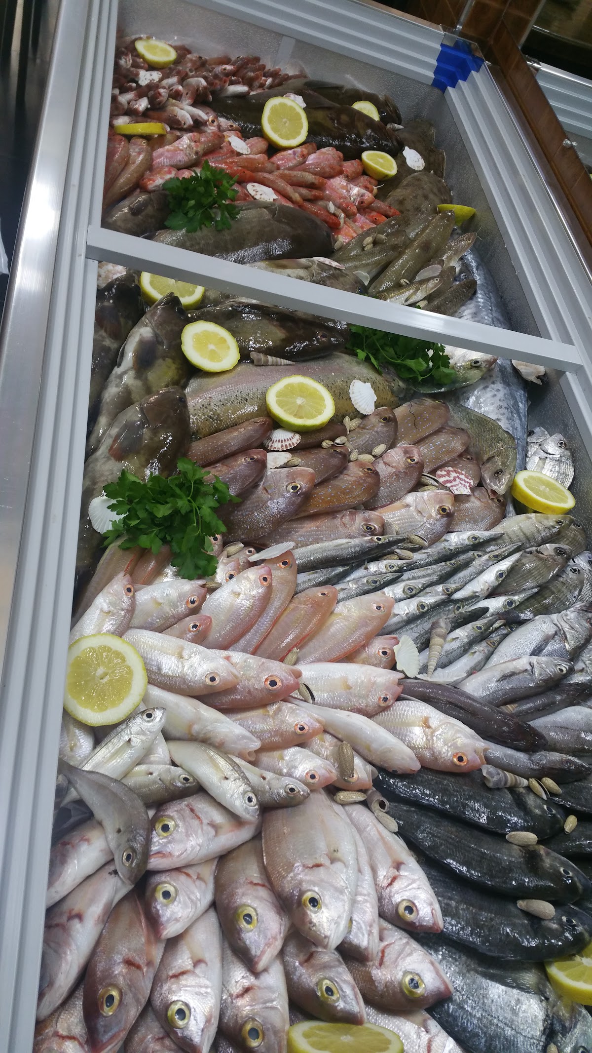 Octopus seafood market — photograph 2