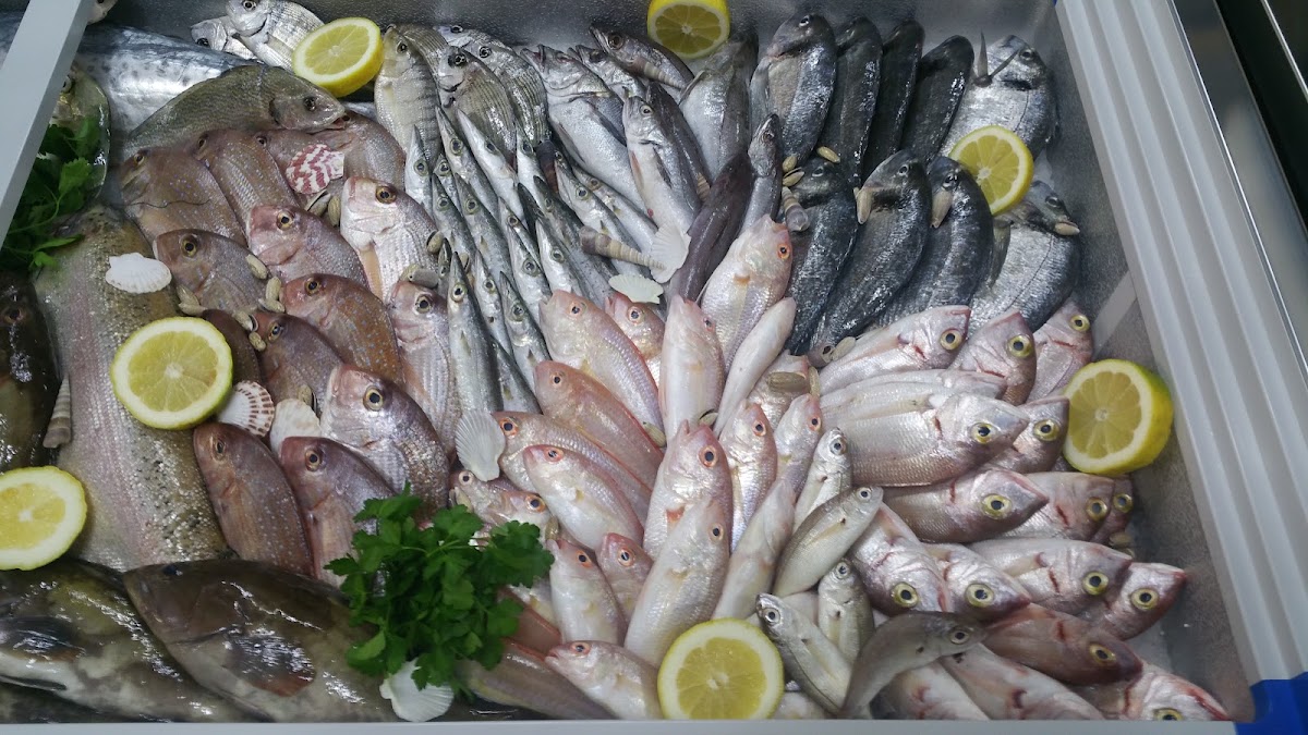Octopus seafood market — photograph 4