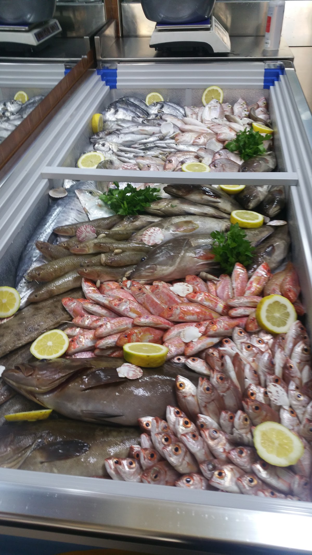 Octopus seafood market — photograph 6