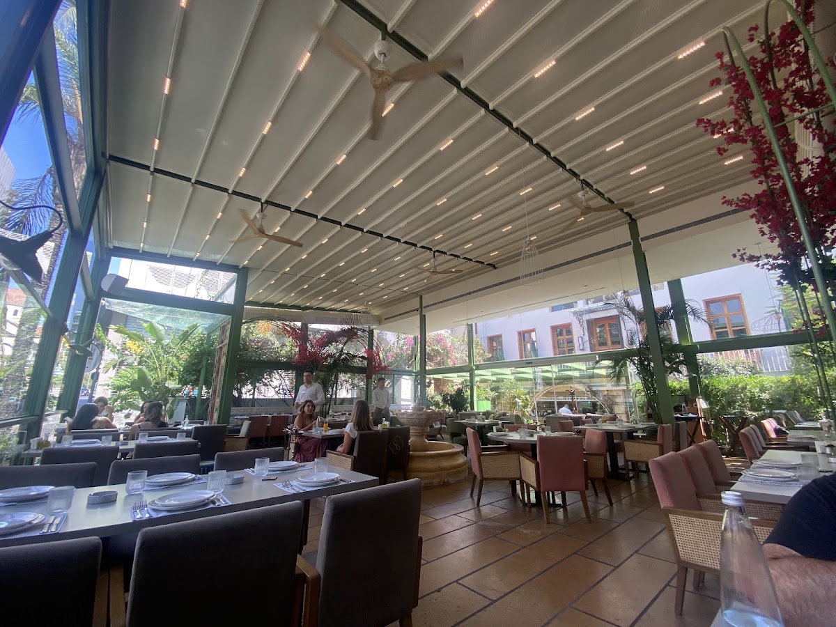 Café D'Orient — photograph 4