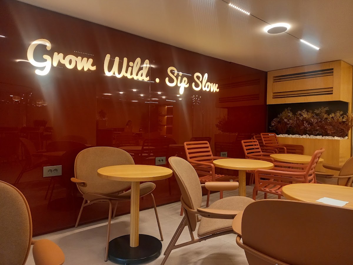 Oak Coffee Shop — photograph 5