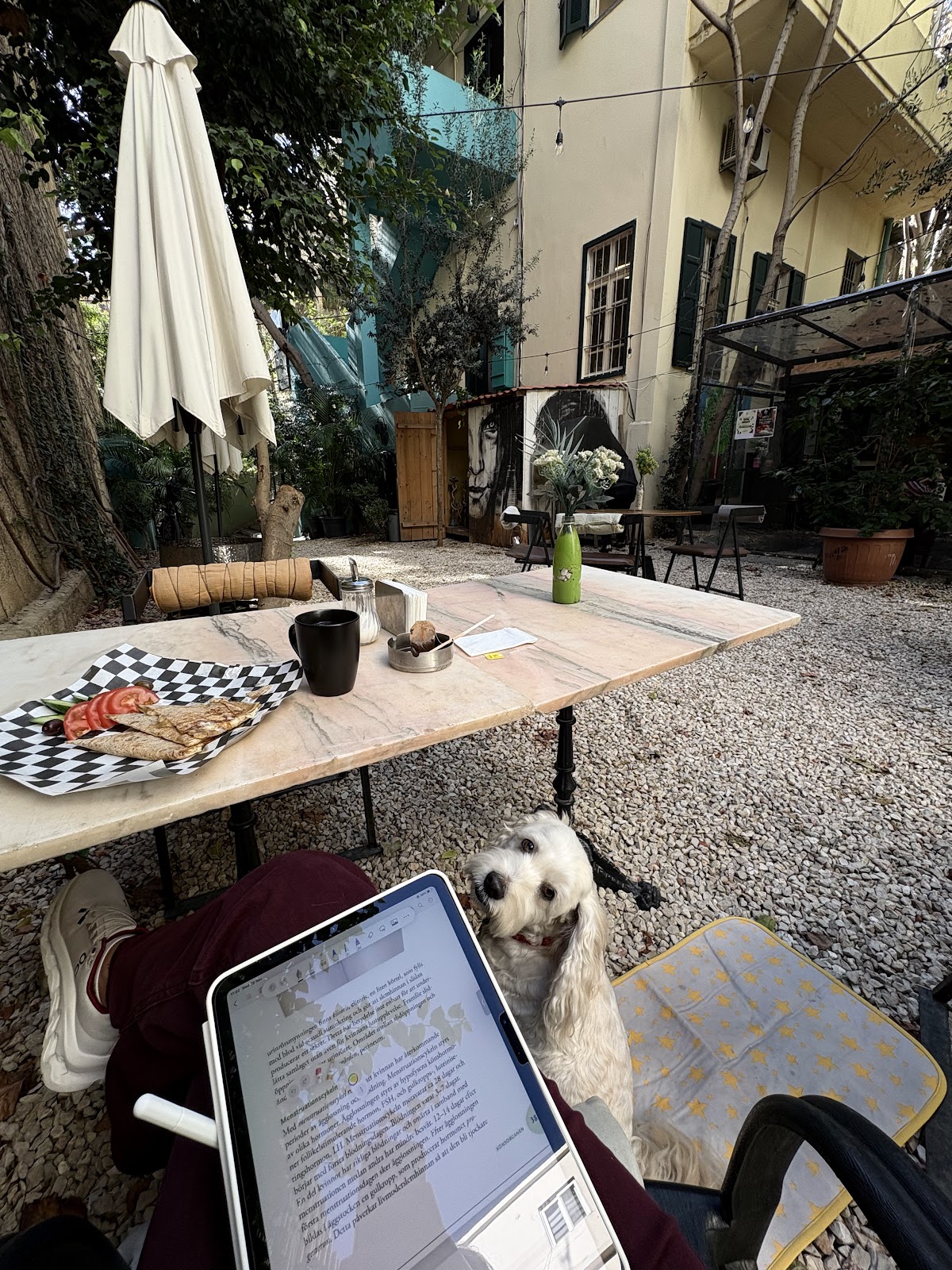 Olive Tree Cafe — photograph 6