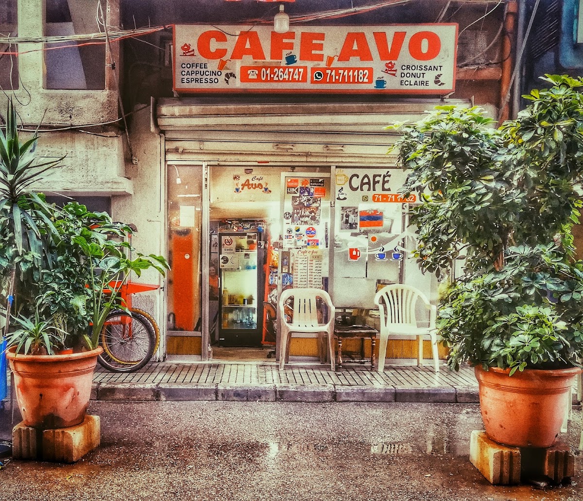 Café AVO