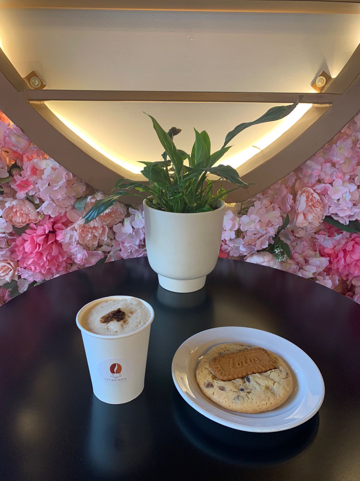 Coffeetastic — photograph 6