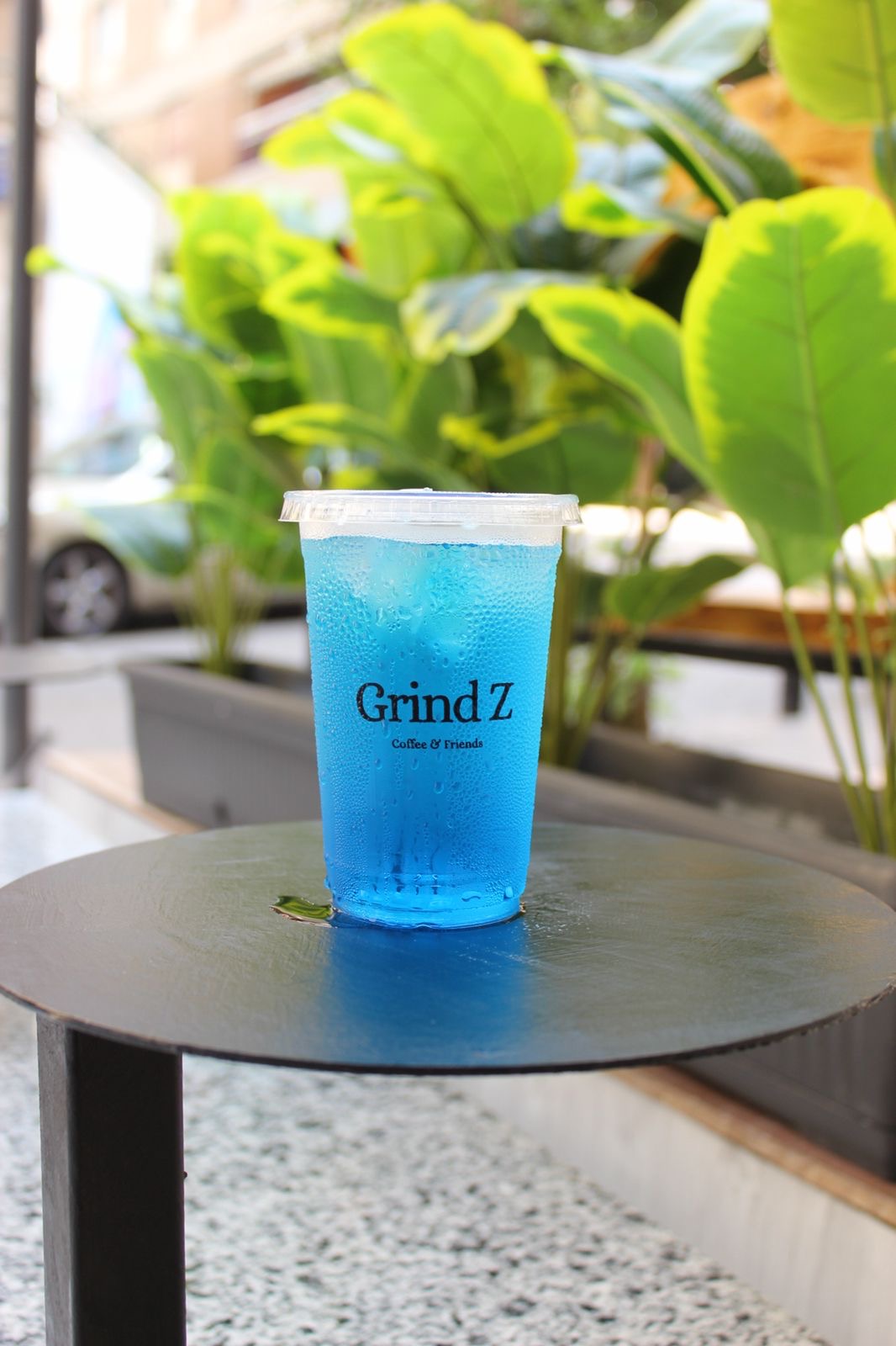 Grind Z — photograph 5