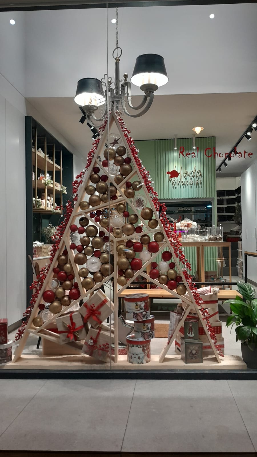 Hoda et Chocolat — photograph 6