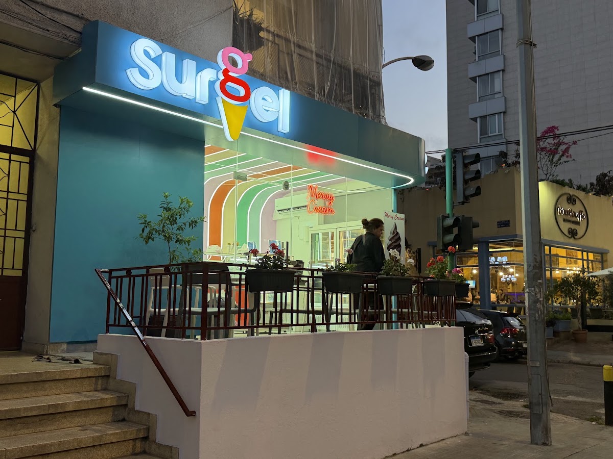 SURGEL ICE CREAM