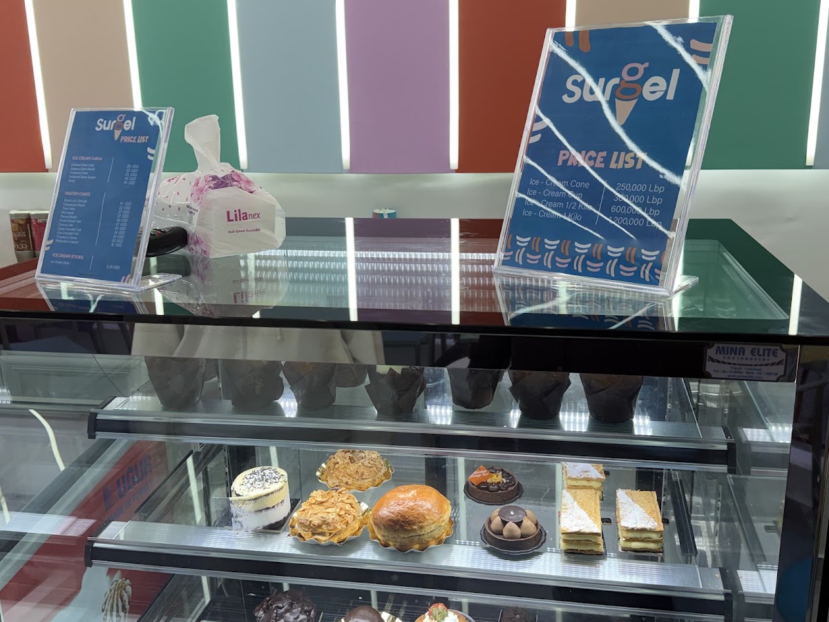 SURGEL ICE CREAM — photograph 3