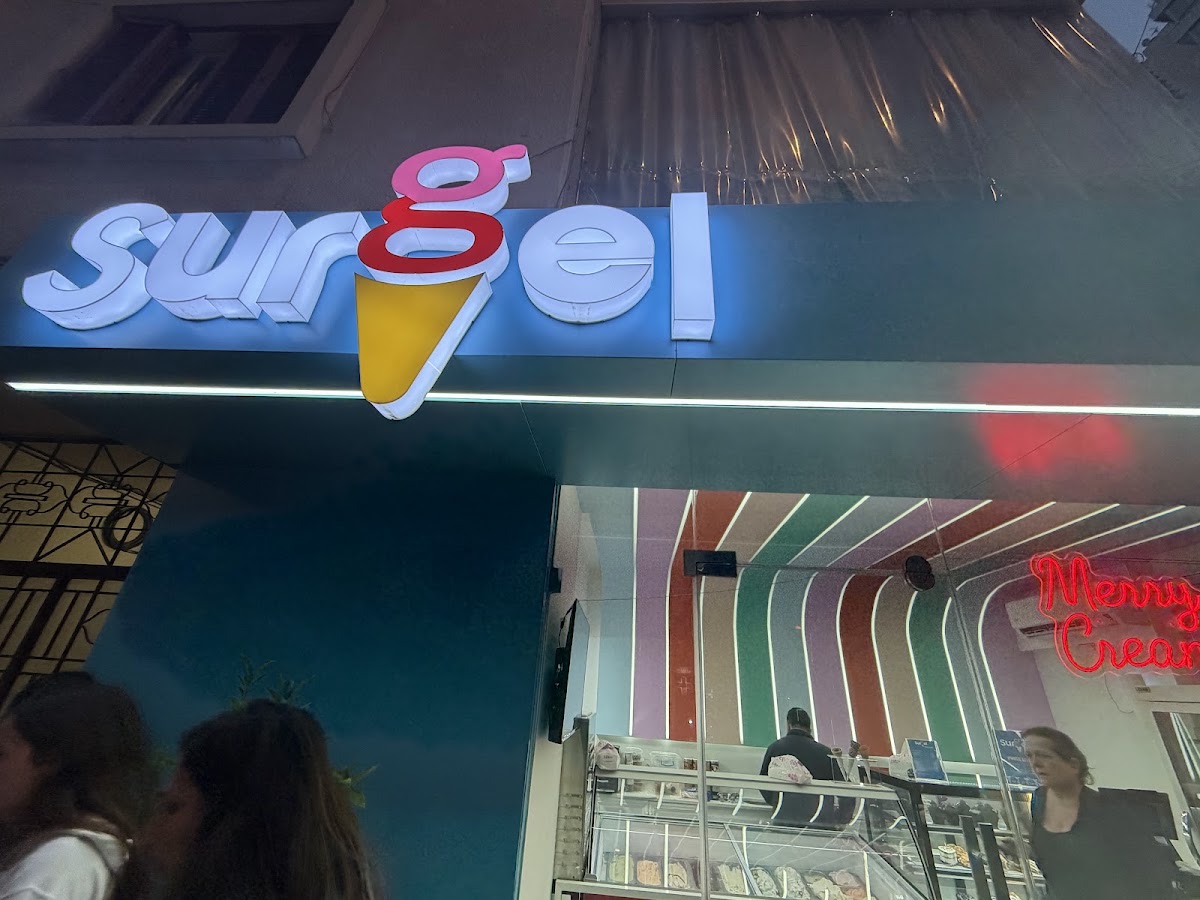 SURGEL ICE CREAM — photograph 4