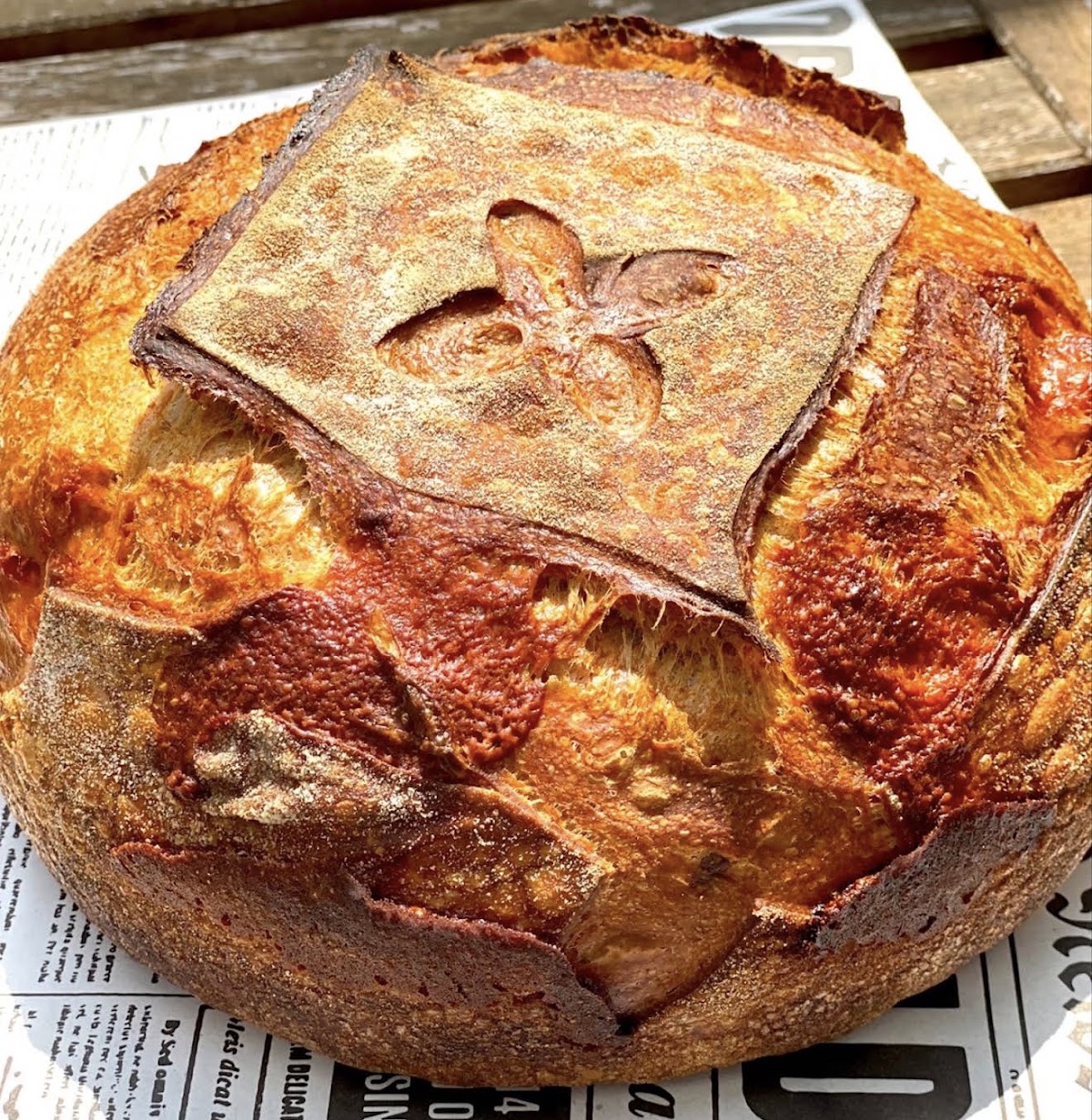 Fall in Loaf — photograph 6